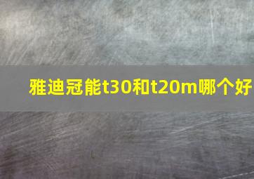 雅迪冠能t30和t20m哪个好