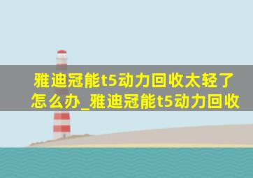 雅迪冠能t5动力回收太轻了怎么办_雅迪冠能t5动力回收