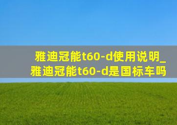 雅迪冠能t60-d使用说明_雅迪冠能t60-d是国标车吗