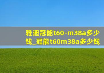 雅迪冠能t60-m38a多少钱_冠能t60m38a多少钱