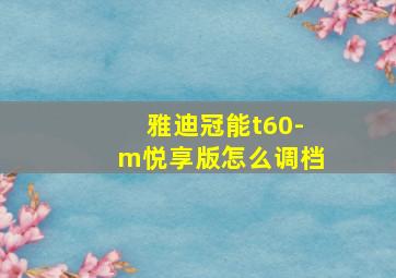 雅迪冠能t60-m悦享版怎么调档