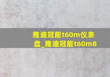 雅迪冠能t60m仪表盘_雅迪冠能t60m8