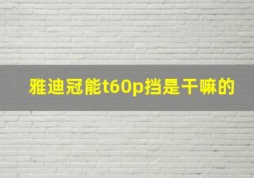 雅迪冠能t60p挡是干嘛的