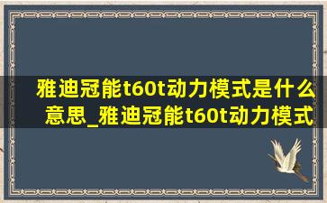 雅迪冠能t60t动力模式是什么意思_雅迪冠能t60t动力模式