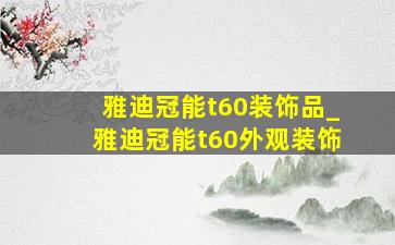 雅迪冠能t60装饰品_雅迪冠能t60外观装饰