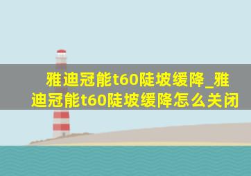 雅迪冠能t60陡坡缓降_雅迪冠能t60陡坡缓降怎么关闭