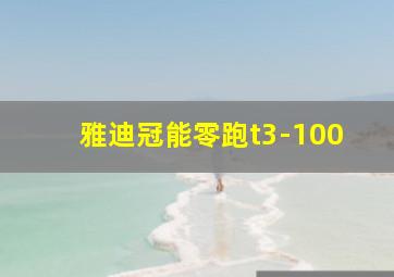 雅迪冠能零跑t3-100