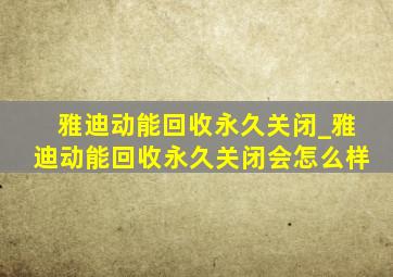 雅迪动能回收永久关闭_雅迪动能回收永久关闭会怎么样