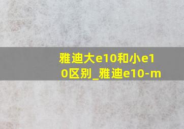 雅迪大e10和小e10区别_雅迪e10-m