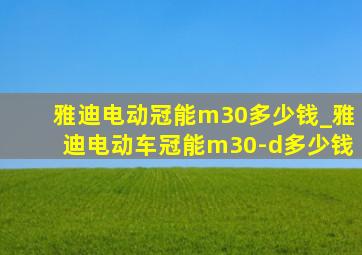 雅迪电动冠能m30多少钱_雅迪电动车冠能m30-d多少钱