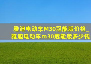 雅迪电动车M30冠能版价格_雅迪电动车m30冠能版多少钱