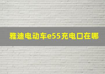 雅迪电动车e55充电口在哪