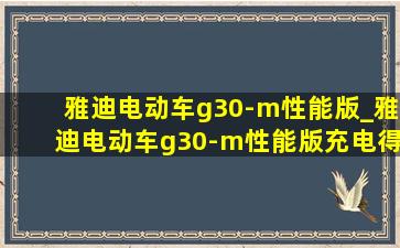 雅迪电动车g30-m性能版_雅迪电动车g30-m性能版充电得多长时间