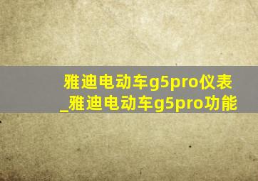 雅迪电动车g5pro仪表_雅迪电动车g5pro功能