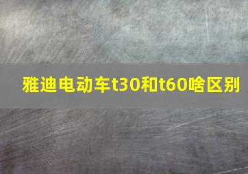 雅迪电动车t30和t60啥区别