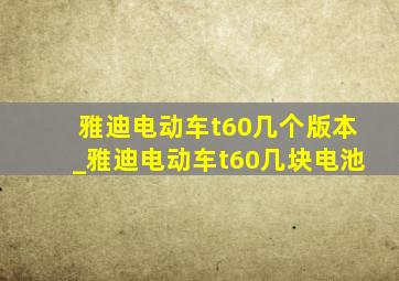 雅迪电动车t60几个版本_雅迪电动车t60几块电池