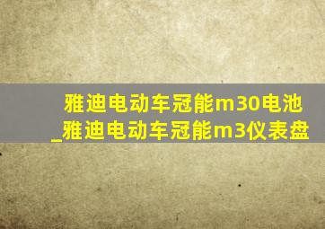 雅迪电动车冠能m30电池_雅迪电动车冠能m3仪表盘