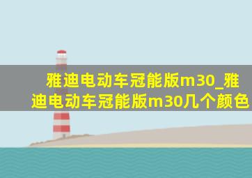 雅迪电动车冠能版m30_雅迪电动车冠能版m30几个颜色