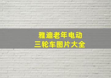 雅迪老年电动三轮车图片大全