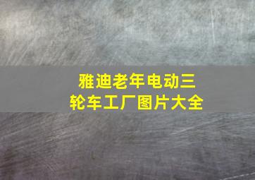 雅迪老年电动三轮车工厂图片大全