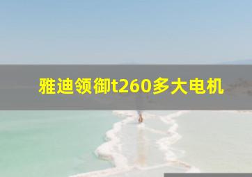 雅迪领御t260多大电机