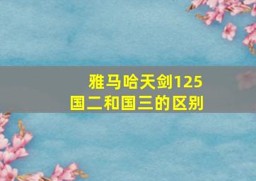 雅马哈天剑125国二和国三的区别