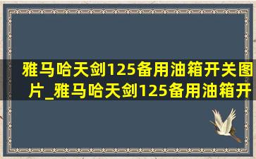 雅马哈天剑125备用油箱开关图片_雅马哈天剑125备用油箱开关