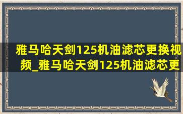 雅马哈天剑125机油滤芯更换视频_雅马哈天剑125机油滤芯更换