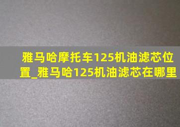 雅马哈摩托车125机油滤芯位置_雅马哈125机油滤芯在哪里