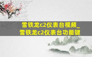 雪铁龙c2仪表台视频_雪铁龙c2仪表台功能键