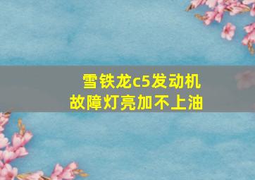 雪铁龙c5发动机故障灯亮加不上油