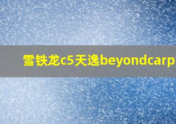 雪铁龙c5天逸beyondcarplay