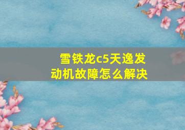 雪铁龙c5天逸发动机故障怎么解决