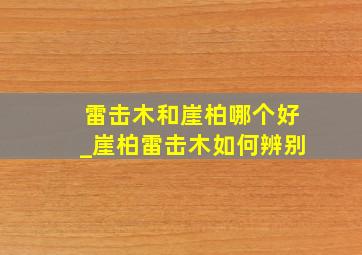 雷击木和崖柏哪个好_崖柏雷击木如何辨别