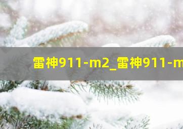 雷神911-m2_雷神911-m2b