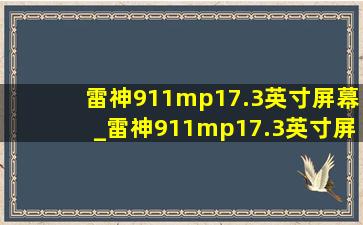 雷神911mp17.3英寸屏幕_雷神911mp17.3英寸屏幕碎了