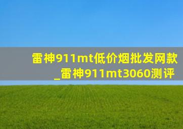 雷神911mt(低价烟批发网)款_雷神911mt3060测评