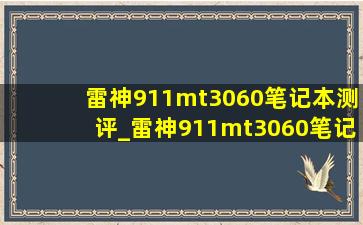 雷神911mt3060笔记本测评_雷神911mt3060笔记本