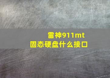 雷神911mt固态硬盘什么接口