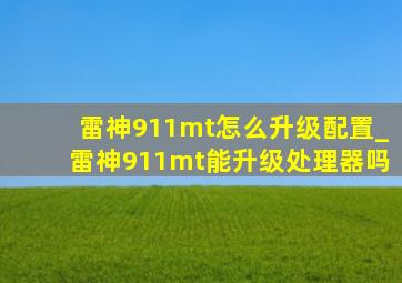 雷神911mt怎么升级配置_雷神911mt能升级处理器吗