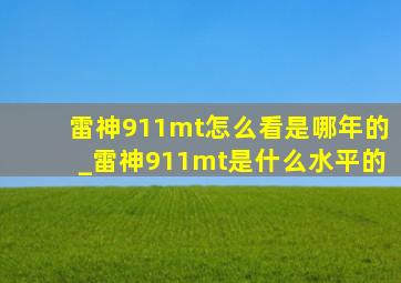 雷神911mt怎么看是哪年的_雷神911mt是什么水平的