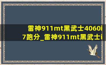 雷神911mt黑武士4060i7跑分_雷神911mt黑武士i7-13620h