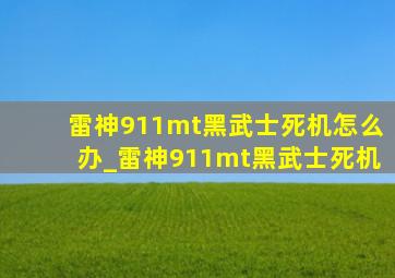 雷神911mt黑武士死机怎么办_雷神911mt黑武士死机