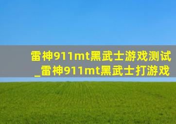 雷神911mt黑武士游戏测试_雷神911mt黑武士打游戏