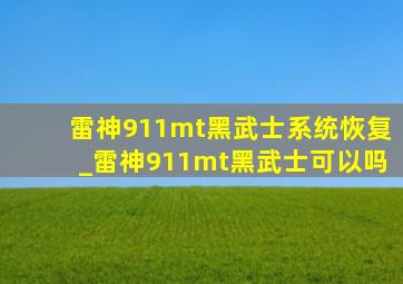 雷神911mt黑武士系统恢复_雷神911mt黑武士可以吗