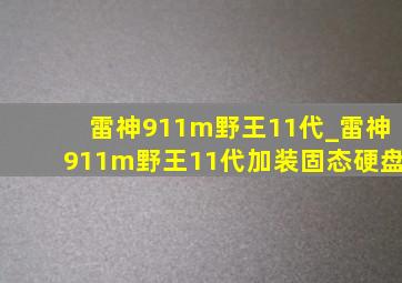 雷神911m野王11代_雷神911m野王11代加装固态硬盘