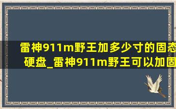 雷神911m野王加多少寸的固态硬盘_雷神911m野王可以加固态吗