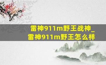 雷神911m野王战神_雷神911m野王怎么样