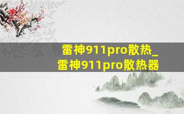 雷神911pro散热_雷神911pro散热器