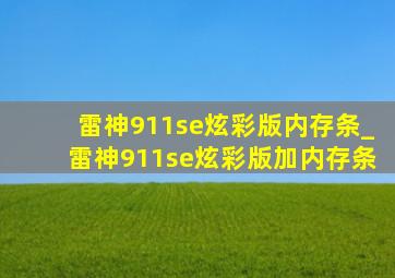 雷神911se炫彩版内存条_雷神911se炫彩版加内存条